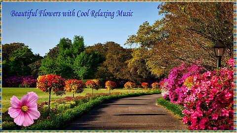 Flower Garden