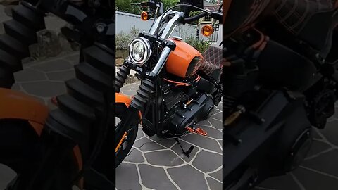 2021 Street Bob #harleydavidson #motorcycle #shorts #short #streetbob