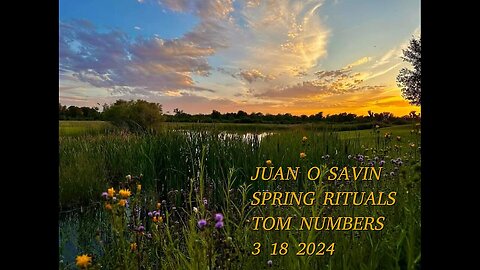 JUAN O SAVIN- SPRING RITUALS the Bloodbath, Easter, Esther- Tom Numbers