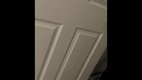 Funny cats videos