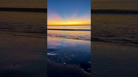 Explosion of colour!