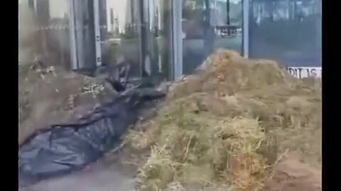 Dutch protesters spraying manure on gov offices, flooding streets, and becoming ungovernable