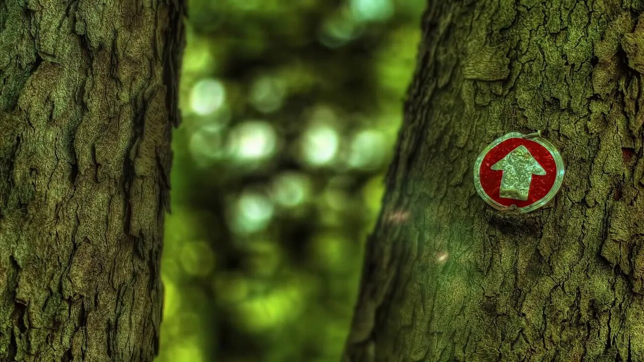 Beachfront B Roll Trail Marker HDR Free to Use HD Stock Video Footage
