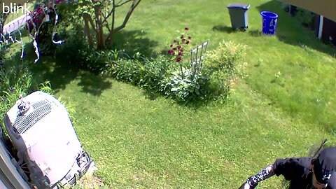 NORTH_VIDEO_DOOR_BELL_2023-05-18T11_12_32-0400.mp4