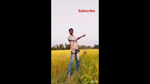 Megha Nandani Odia Song Shorts Reel Video Song