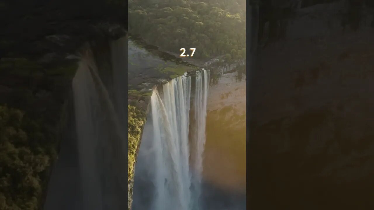Exploring the Amazon: A Treasure Trove of Biodiversity