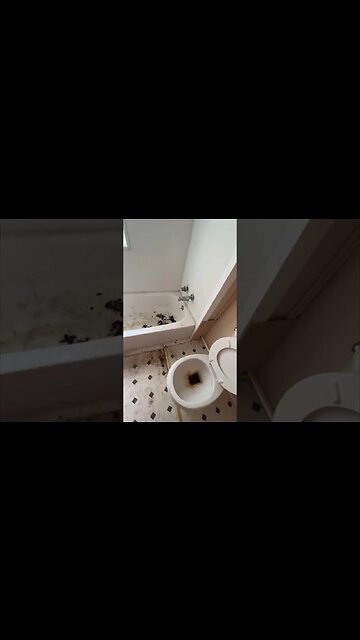 Who 💩 in my Cincinnati Investment Property!?🤬 | #Get2Steppin Thru This 🏚️ Pt2 #realestatevlogs