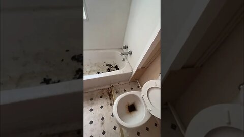Who 💩 in my Cincinnati Investment Property!?🤬 | #Get2Steppin Thru This 🏚️ Pt2 #realestatevlogs