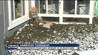 'I have never have seen anything like this.' Residents fear mysterious sludge washing up from Lake St. Clair may be raw sewage