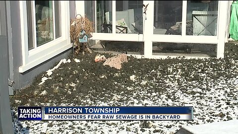 'I have never have seen anything like this.' Residents fear mysterious sludge washing up from Lake St. Clair may be raw sewage
