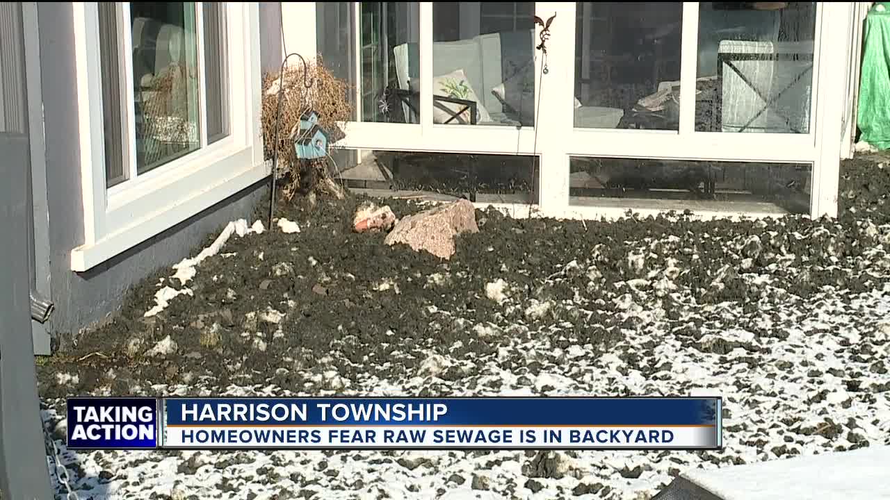 'I have never have seen anything like this.' Residents fear mysterious sludge washing up from Lake St. Clair may be raw sewage