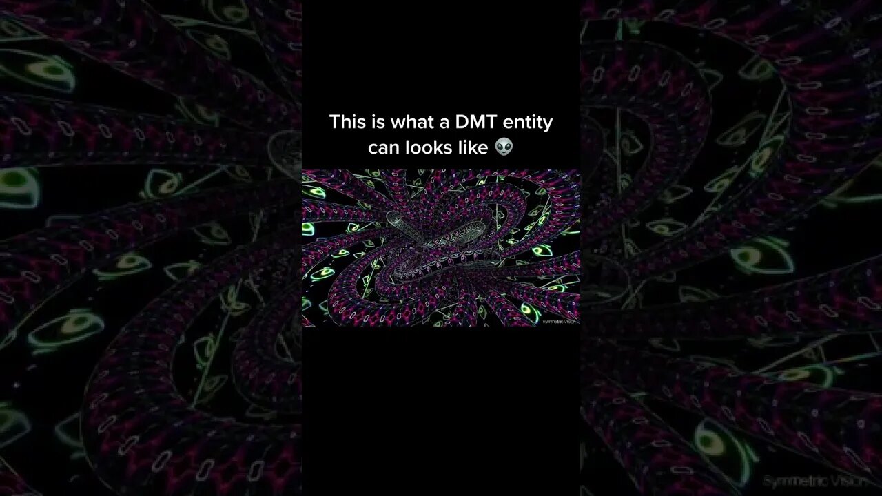 DMT SIMULATOR 2