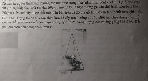 Toán 12: Cô Lan là người thích làm những giỏ hoa treo trong nhà (như hình bên) cô làm 1 giỏ hoa treo