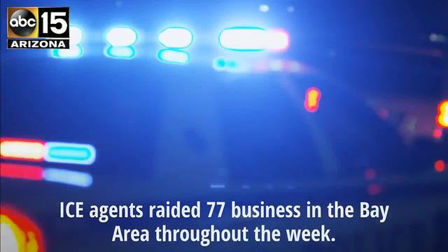 ICE raids 77 businesses in Northern California