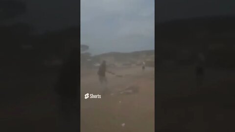 Bolsonaristas contra a PF! #shorts #bolsonaro #polícia #eleição #lula