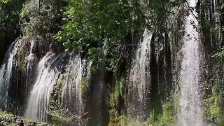 Relaxing Music with Nature Sounds, Forest Views, & Meditation Music
