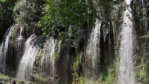 Relaxing Music with Nature Sounds, Forest Views, & Meditation Music