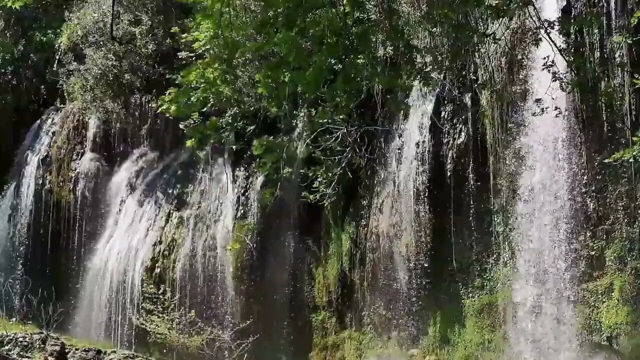 Relaxing Music with Nature Sounds, Forest Views, & Meditation Music