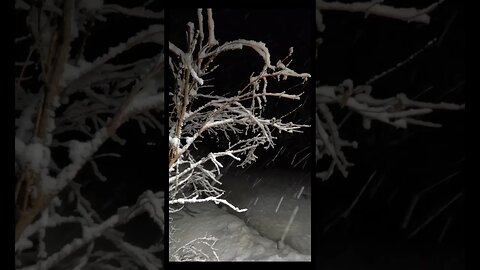 Nor'easter? Major Snowstorm on the way? 12-18 inches? Time will tell.