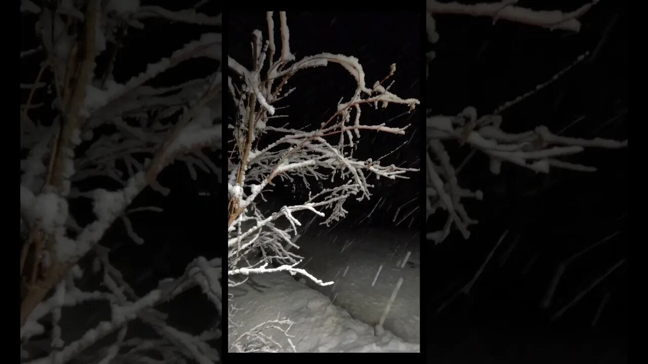 Nor'easter? Major Snowstorm on the way? 12-18 inches? Time will tell.