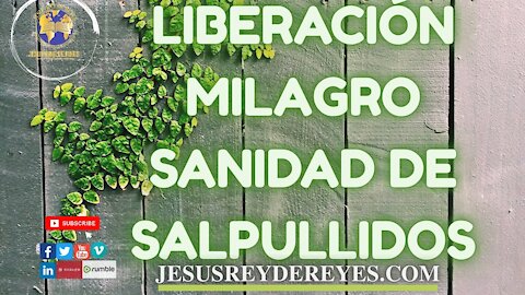Liberación Milagro Sanidad de Salpullidos, bolas en la cabeza y dolor