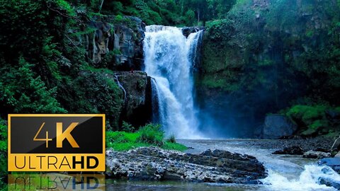 Peaceful Forest Sounds | Nature Sounds, Birds Singing, Waterfall Sounds, Relaxation, Deep Sleep