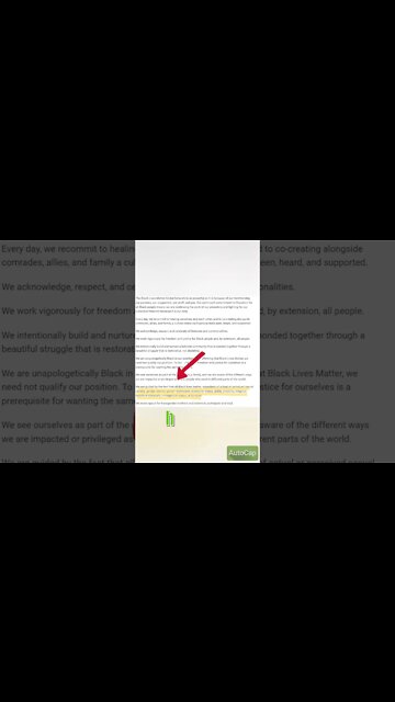 There are valid reasons why BLM doesn't fit in the Church