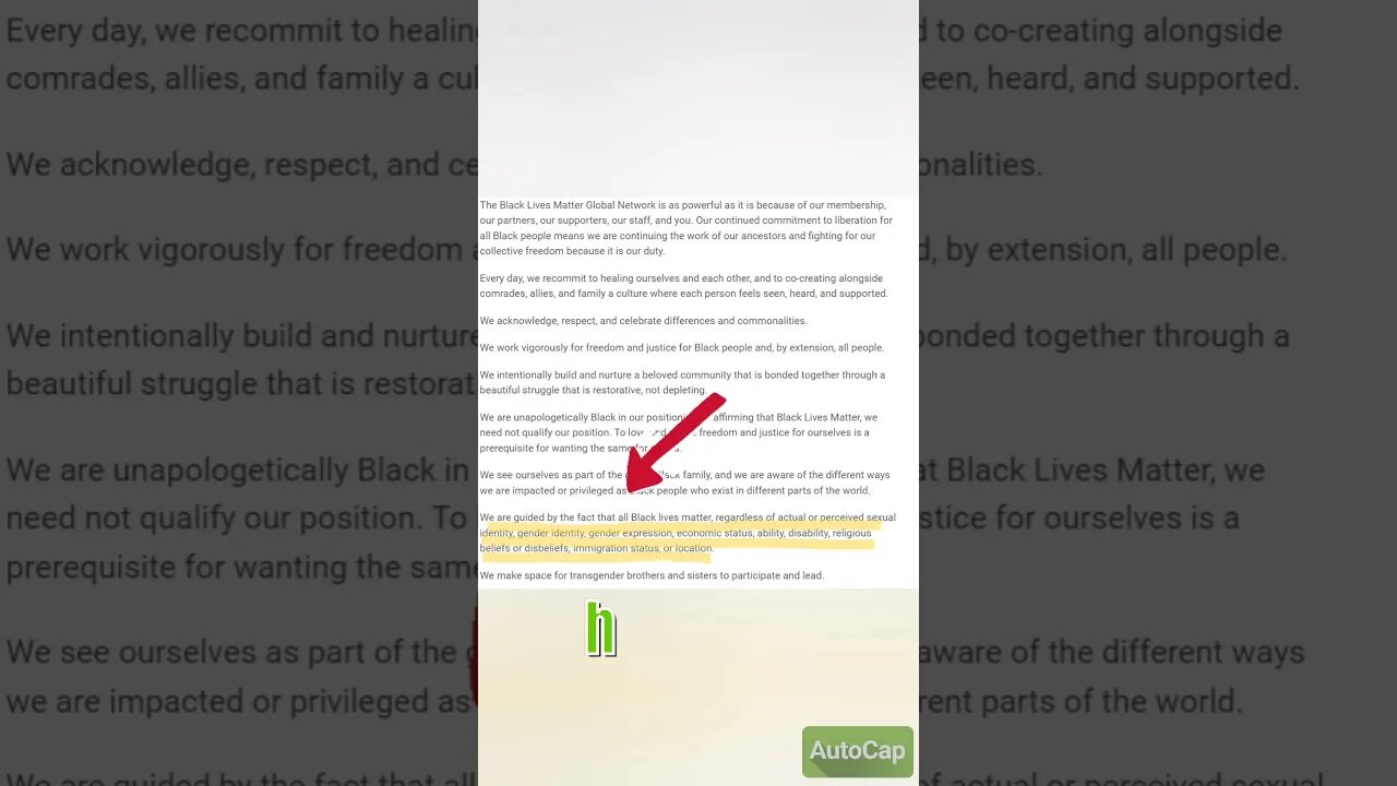 There are valid reasons why BLM doesn't fit in the Church