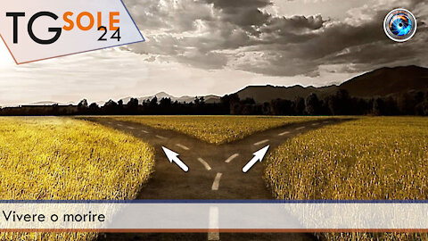 TgSole24 - 29 novembre 2021 - Vivere o morire