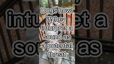 Howling EXPLAINED.. 😱 #trending