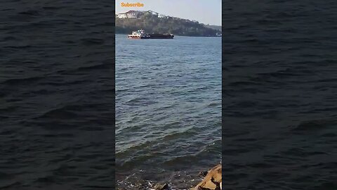 Iron ore Transport In Goa #nature #shortvideos #youtubeshorts #viral #shorts #watertransport #goa