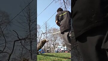 mini chainsaw