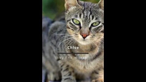 Short Story #4 Chloe by Eric WIlson #shorts