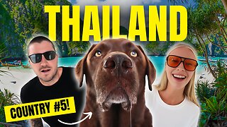 How We Travel EVERYWHERE With Our Dog