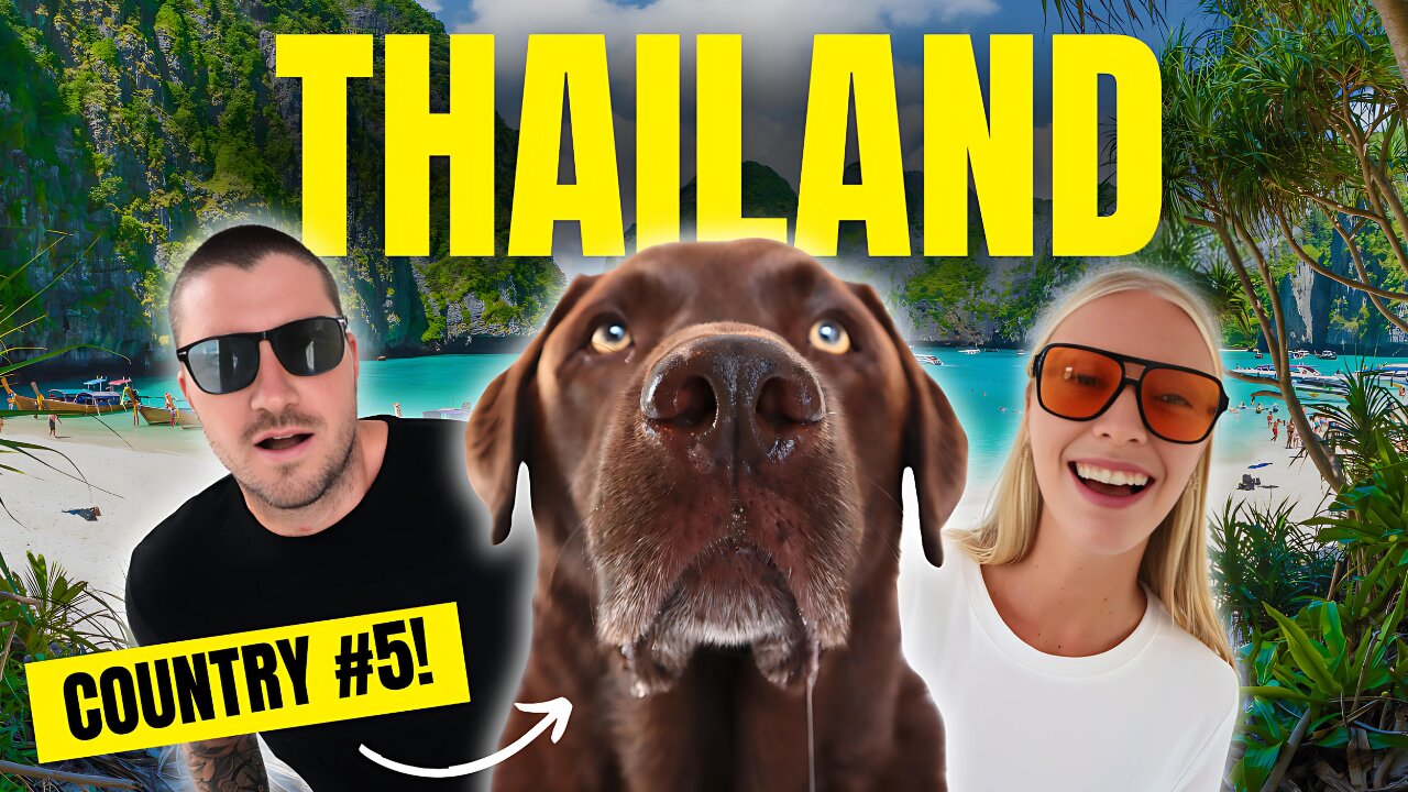 How We Travel EVERYWHERE With Our Dog