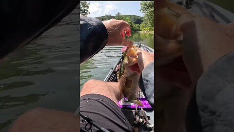 This Big Creek Bass Turned My Day Around
