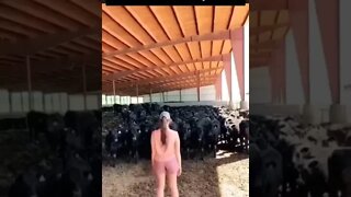 primeiro dia sendo fazendeiro