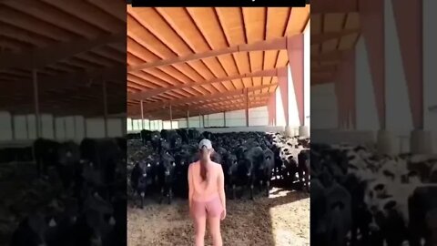 primeiro dia sendo fazendeiro