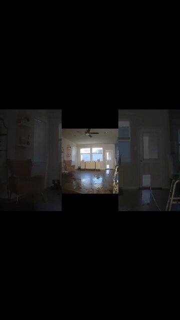 renovations Doggie Style 🐶