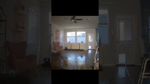 renovations Doggie Style 🐶