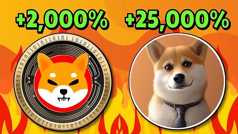 CEO TOKEN!! THE NEXT SHIBA INU WILL MAKE MILLIONAIRES!!