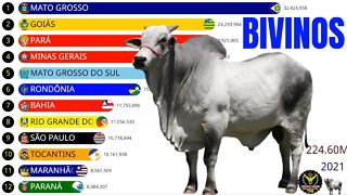 Estados com os Maiores Rebanhos Bovinos do Brasil