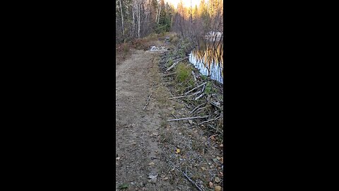 Old spot was inaccessible
