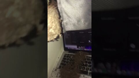 Plants Oops Notebook Tiktok anna burrit0