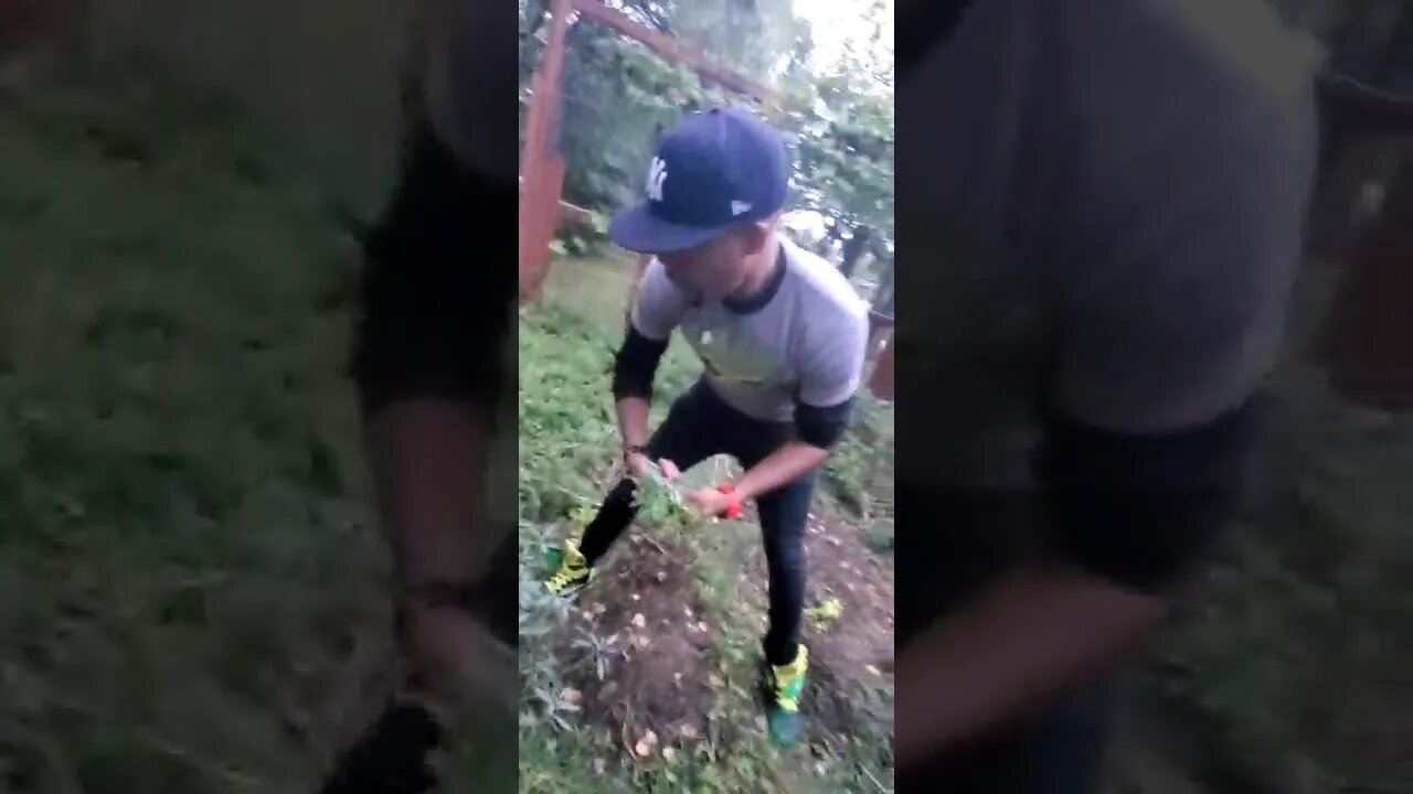 Grow YOUR Own SAGE! #reels #travel #jamaica #jamaicajamaica #food #shorts #youtubeshorts