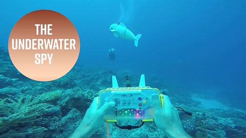 The mesmerizing underwater robot spy