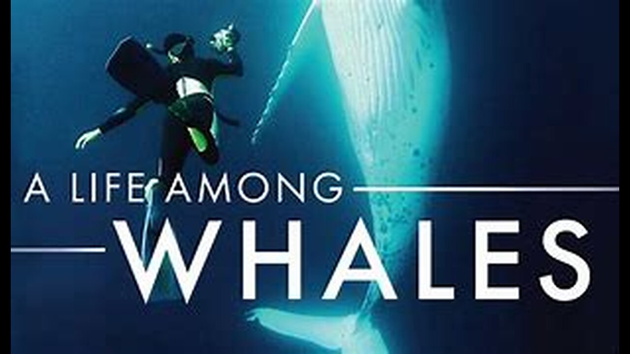 A Life Among Whales