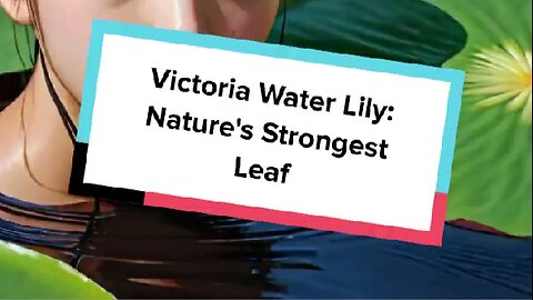 Victoria Water Lily: Nature's Strongest Leaf