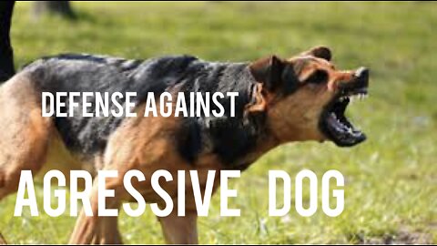 How to defend against a dog. Self defence against a dog .