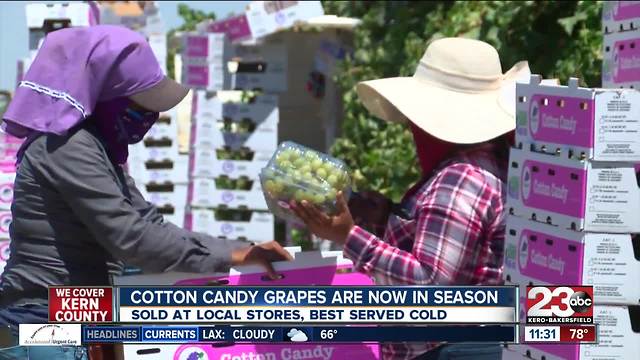 Grapes that taste like Cotton Candy grown in Kern County